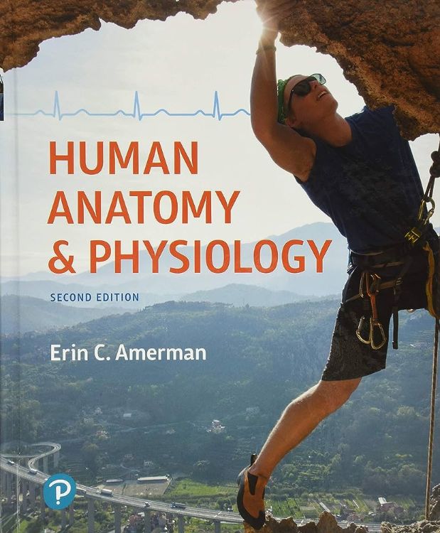 recently-sold-textbooks-human-anatomy